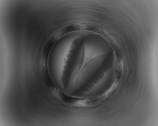 X0000087700178200705111410