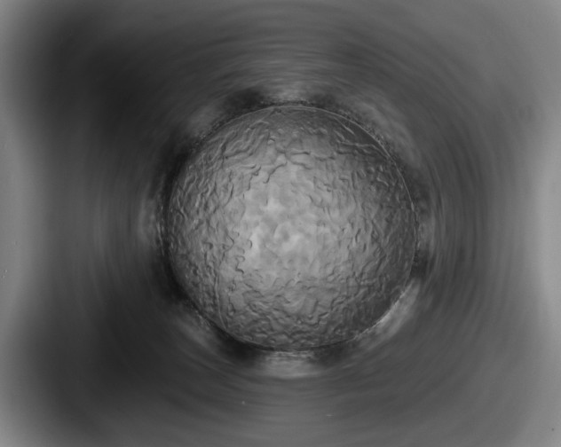 X0000087700179200705111410