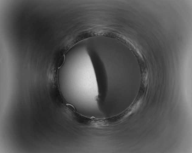 X0000087700181200705111410