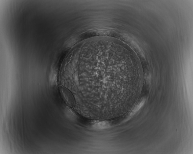 X0000087700185200705111410