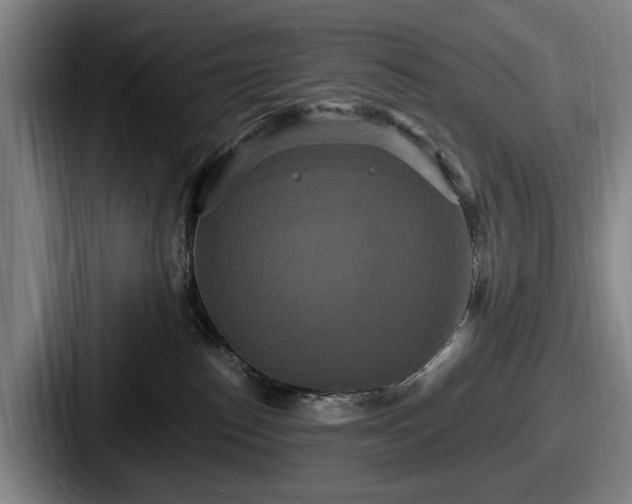 X0000087700186200705111410