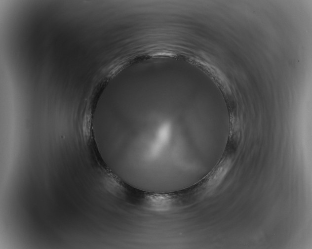 X0000087700189200705111410