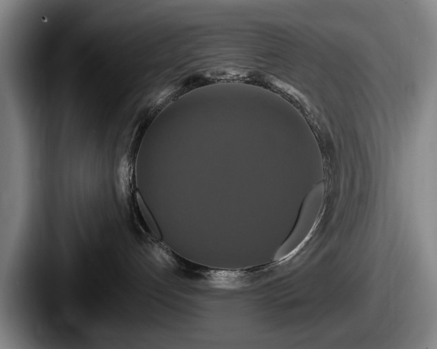 X0000087700192200705111410