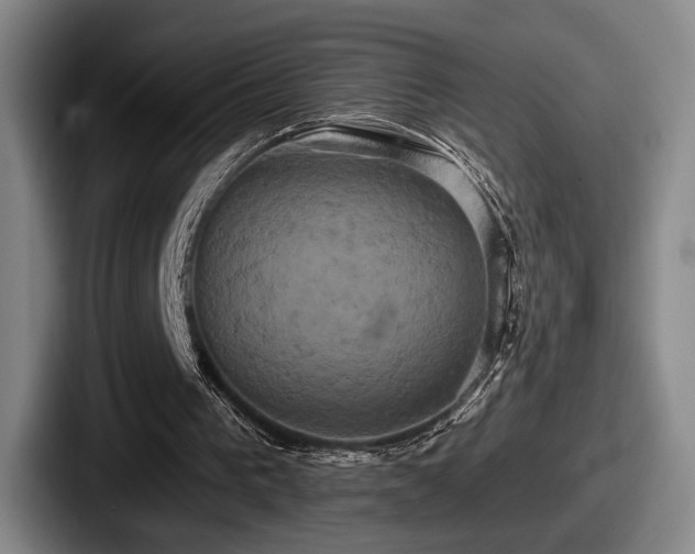 X0000087700193200705111409