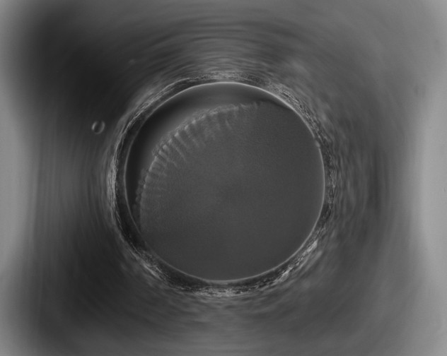 X0000087700194200705111409