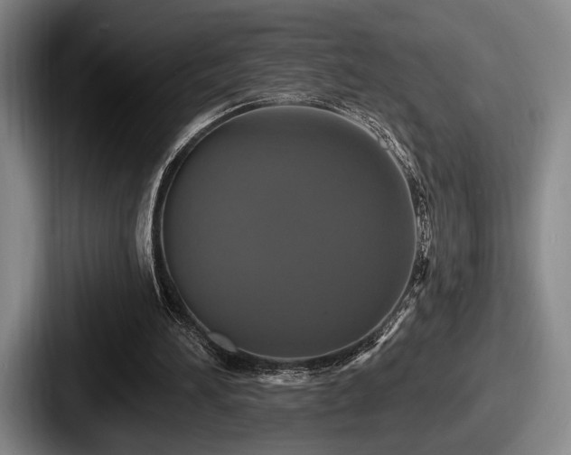 X0000087700196200705111409