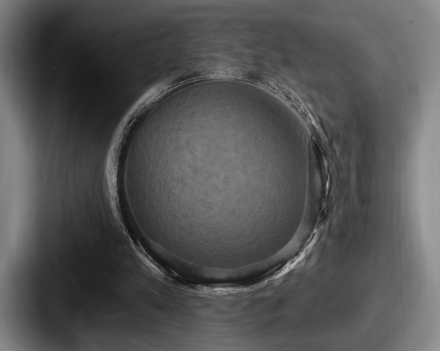 X0000087700197200705111409