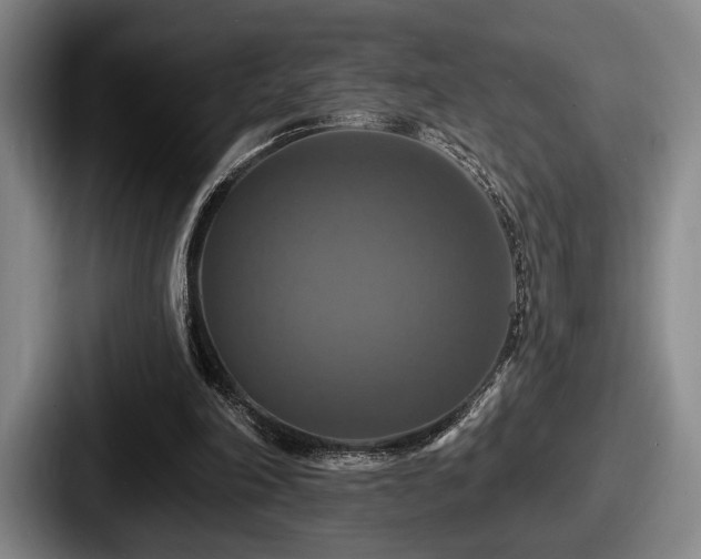 X0000087700198200705111409