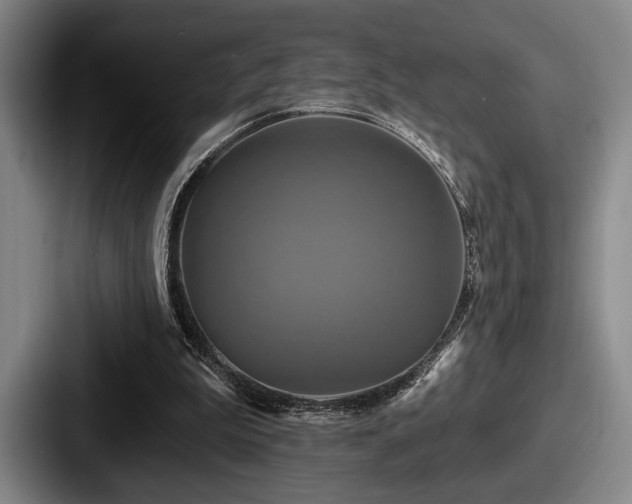 X0000087700199200705111409