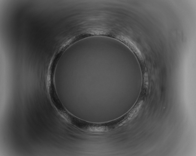 X0000087700202200705111409