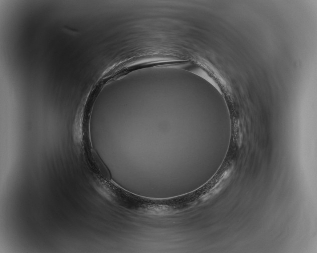 X0000087700203200705111409