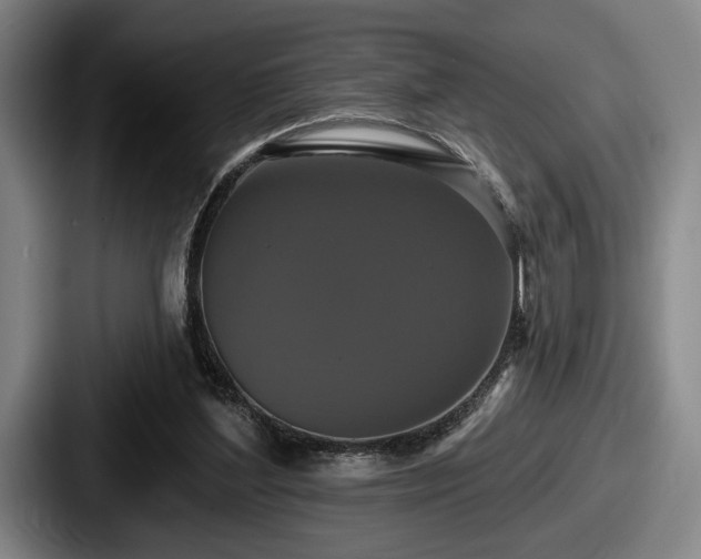 X0000087700204200705111409