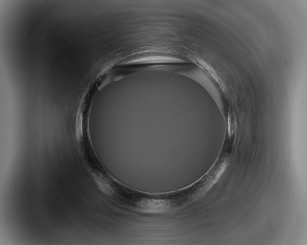 X0000087700205200705111409