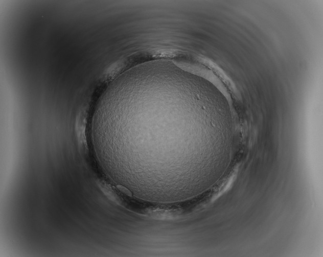 X0000087700209200705111409