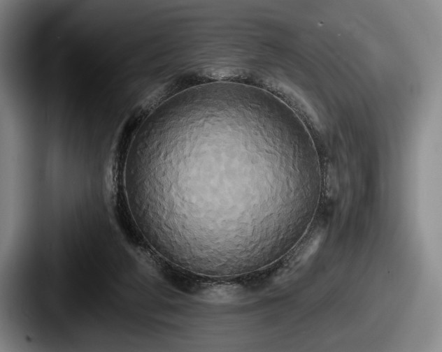 X0000087700210200705111409