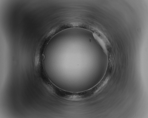 X0000087700212200705111409