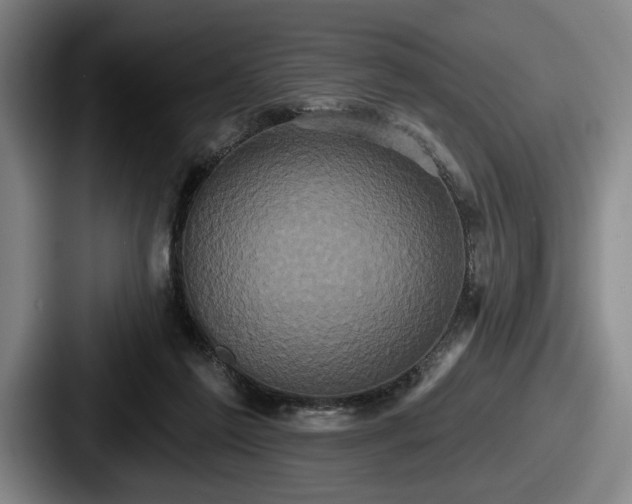 X0000087700213200705111409