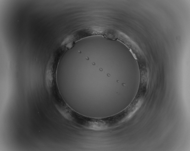 X0000087700215200705111409