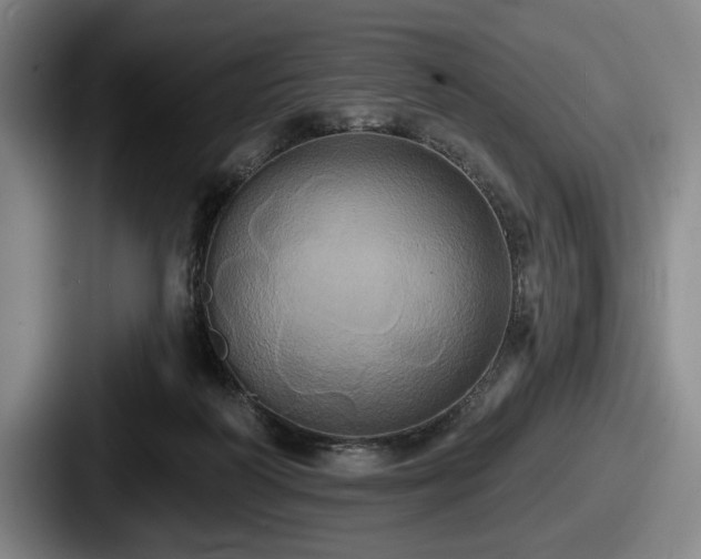 X0000087700218200705111409