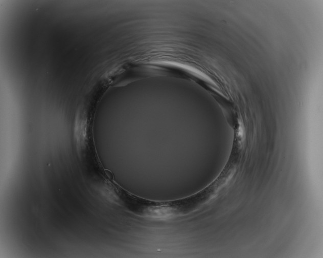 X0000087700219200705111409