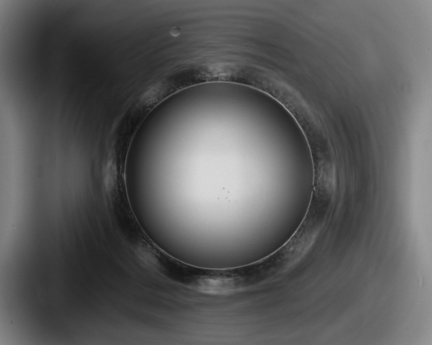 X0000087700220200705111409