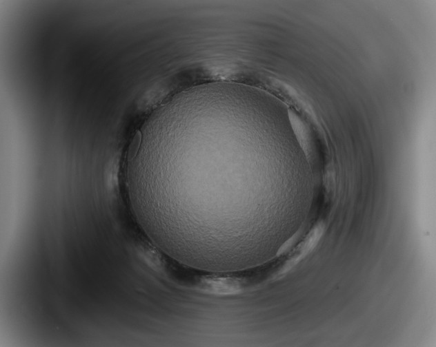 X0000087700221200705111409