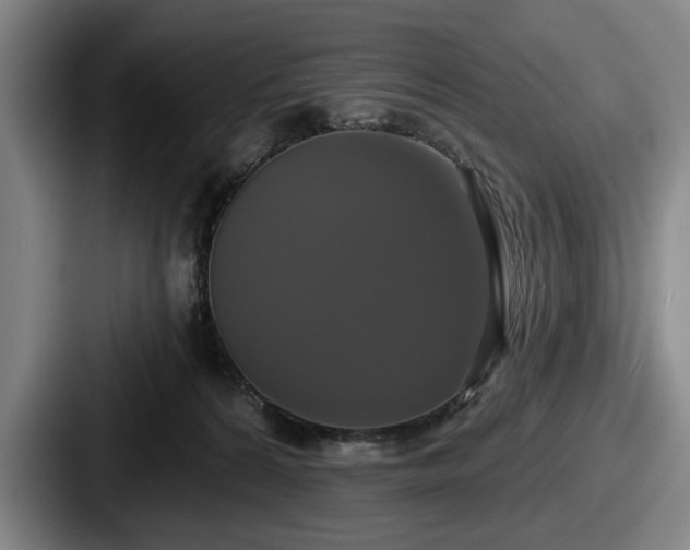 X0000087700224200705111409