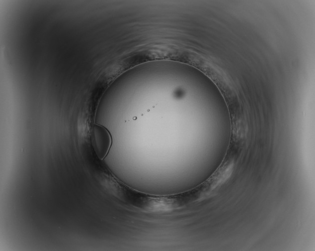 X0000087700226200705111409