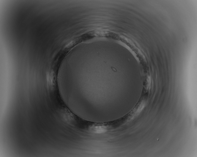 X0000087700228200705111409