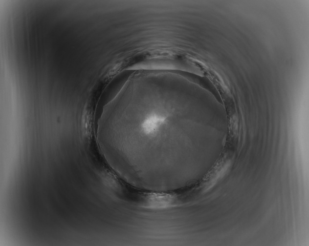 X0000087700234200705111409