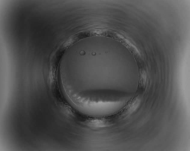 X0000087700236200705111409