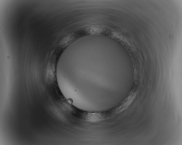 X0000087700240200705111409