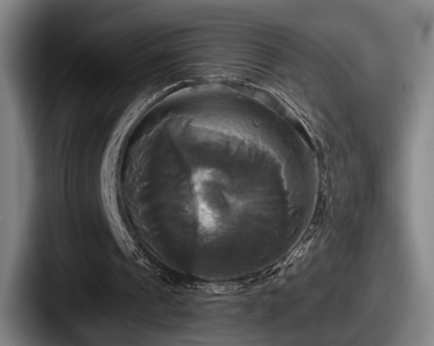 X0000087700241200705111408