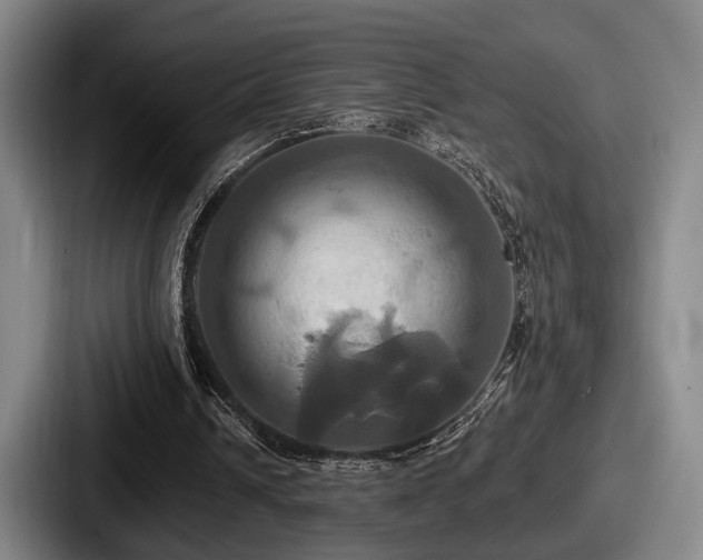 X0000087700242200705111408