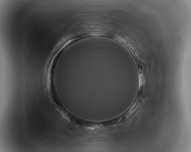 X0000087700243200705111408