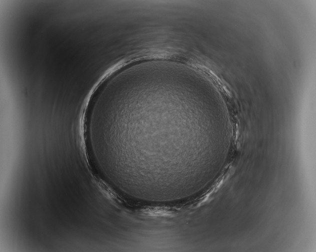 X0000087700244200705111408