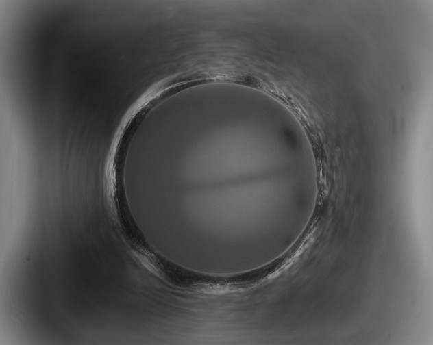 X0000087700246200705111408