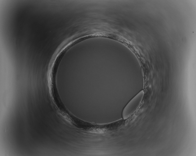 X0000087700247200705111408