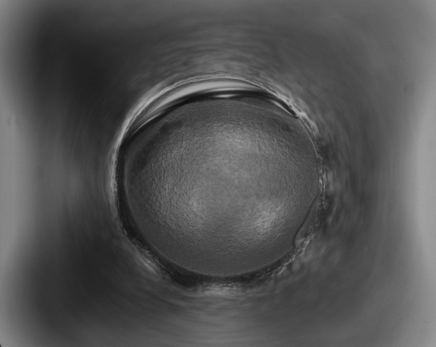 X0000087700248200705111408