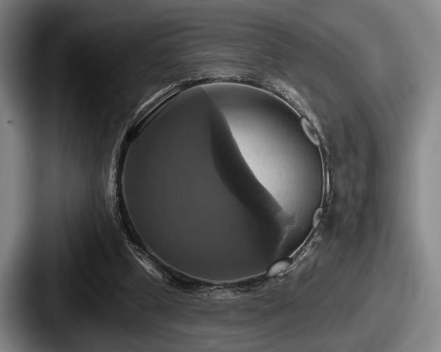 X0000087700249200705111408