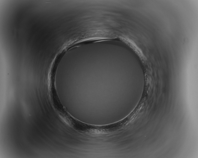 X0000087700250200705111408