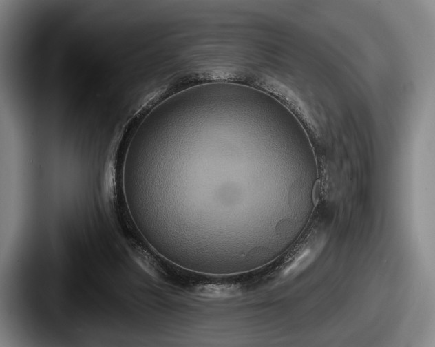 X0000087700251200705111408