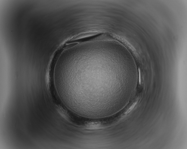 X0000087700252200705111408