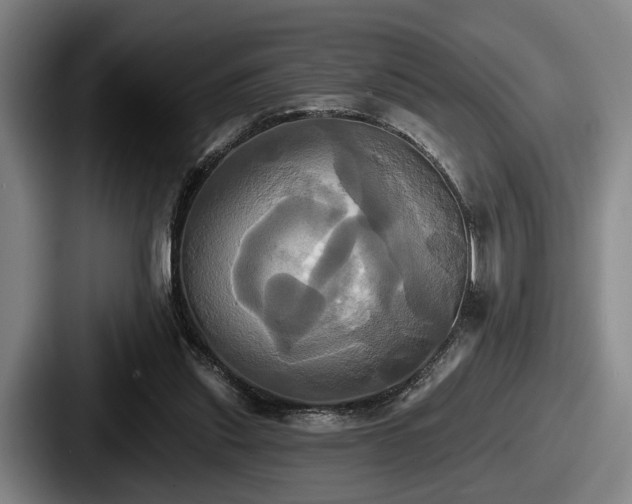 X0000087700253200705111408