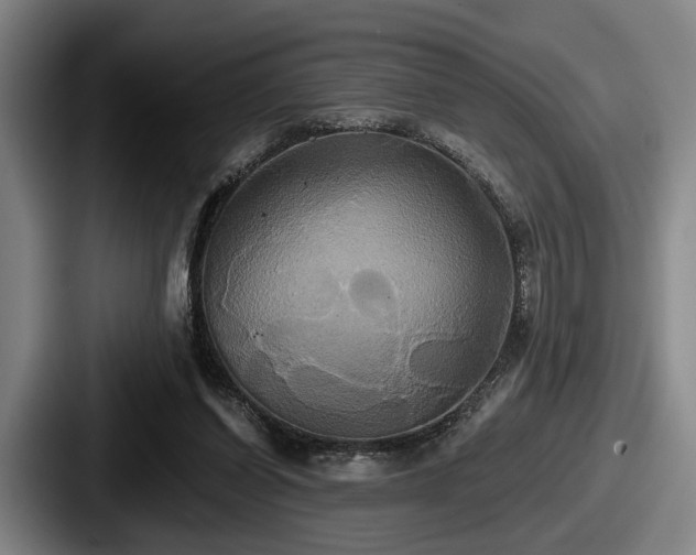 X0000087700254200705111408