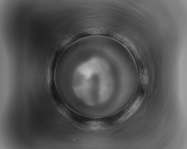 X0000087700255200705111408