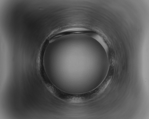 X0000087700256200705111408