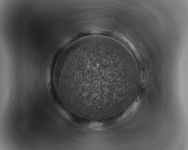 X0000087700257200705111408