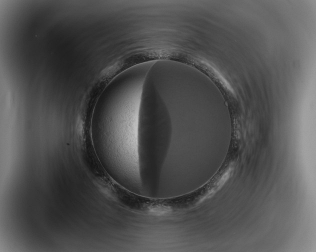 X0000087700258200705111408