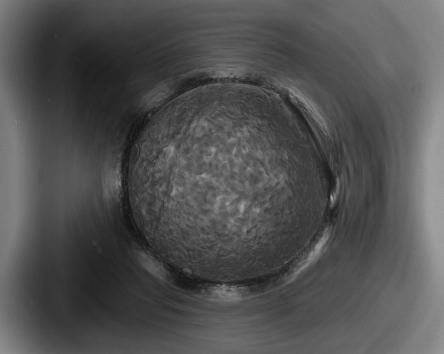 X0000087700261200705111408